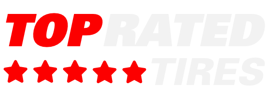 Logo Footer