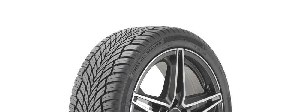 Radar Dimax All Weather tire